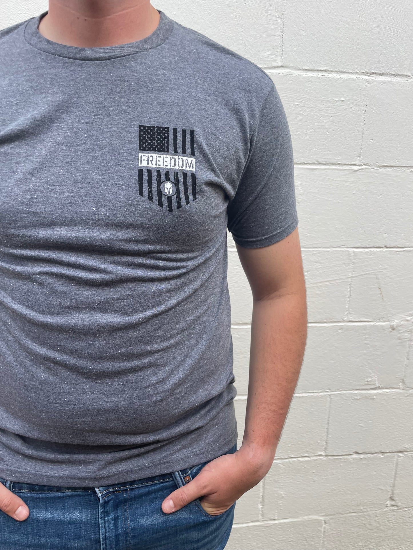 MEN'S GREY FREEDOM GRAPHIC SHORT SLEEVE T-SHIRT